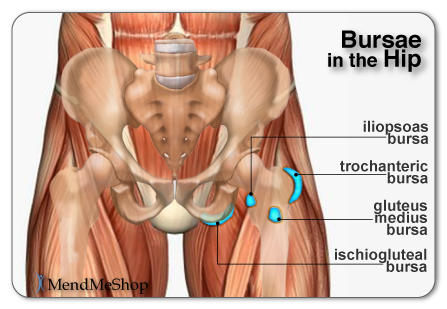 Bursae in the hip